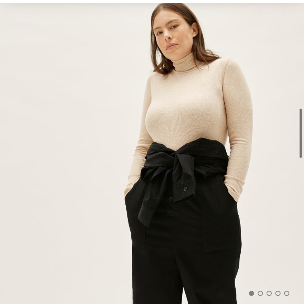 Everlane Pima Micro-Rib Turtleneck
